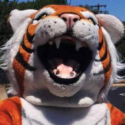 HCS Tiger Mascot